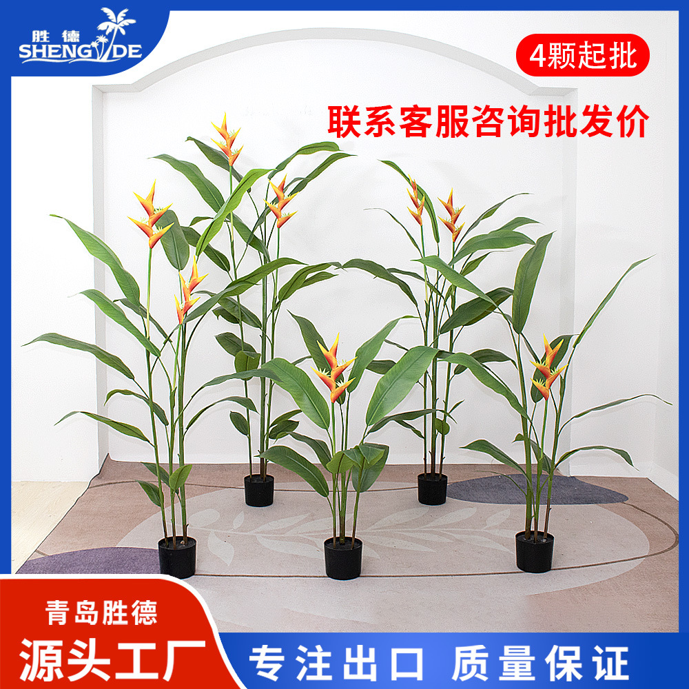 天堂鸟盆栽 客厅室内好养大型花卉绿植办公室轻奢绿色鹤望兰盆栽