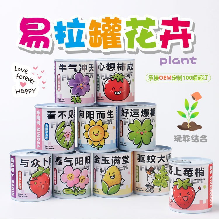 易拉罐种植小盆栽迷你桌面儿童花卉绿植好养活种子小学生奖品礼物